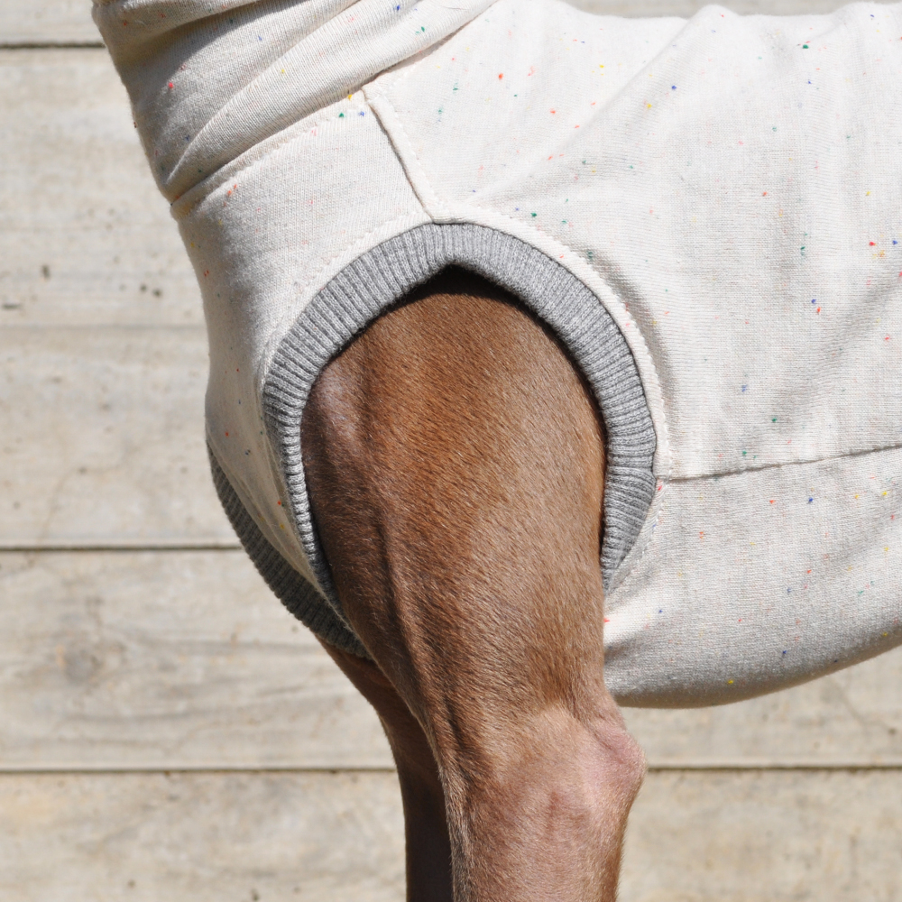 イタグレ服|ミニピン服|犬服|やさしく、やわらかなカラーネップ|選べる4タイプ