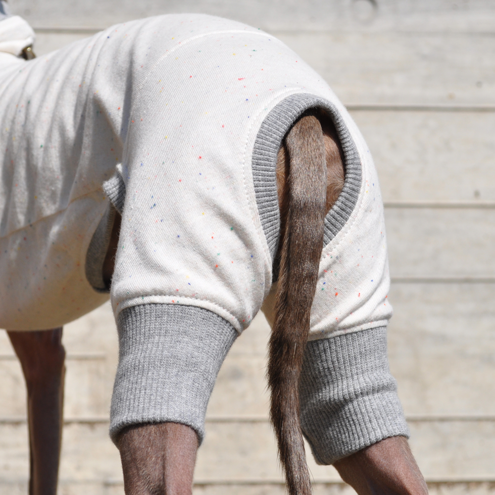 イタグレ服|ミニピン服|犬服|やさしく、やわらかなカラーネップ|選べる4タイプ