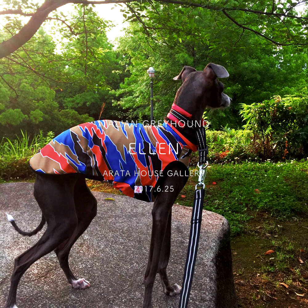 ワタチの隠れファンかと思ったワッ「イタグレ/エレン♡」