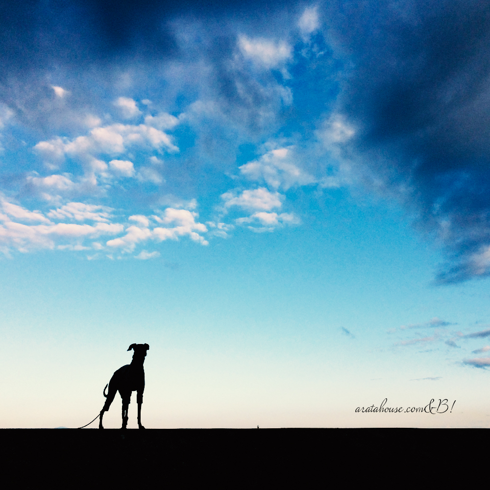 同じ景色を見て生きてますか。