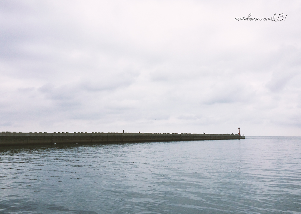 am8:00海辺を歩くと、