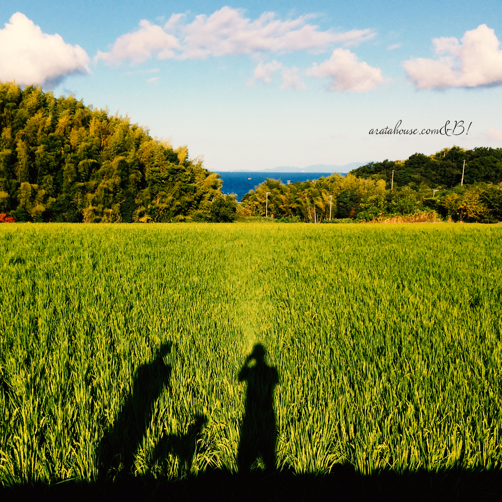 同じ景色を見て生きてますか。