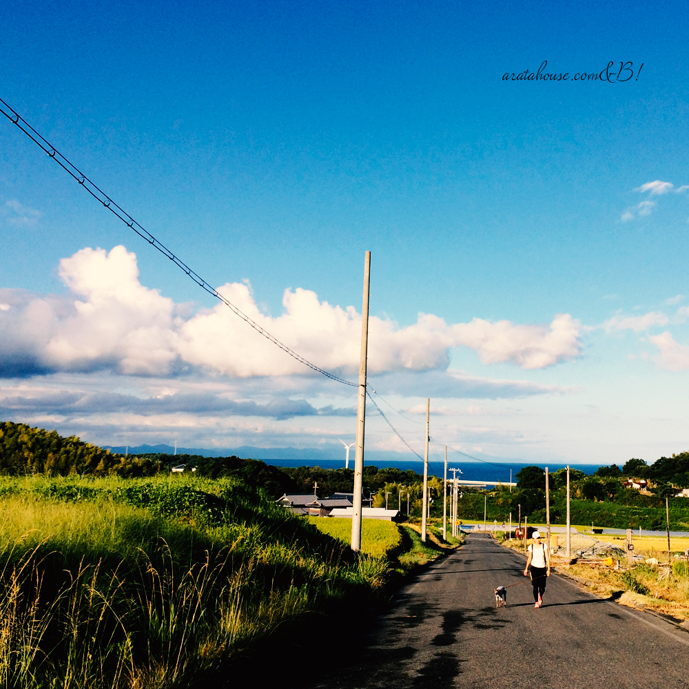 同じ景色を見て生きてますか。