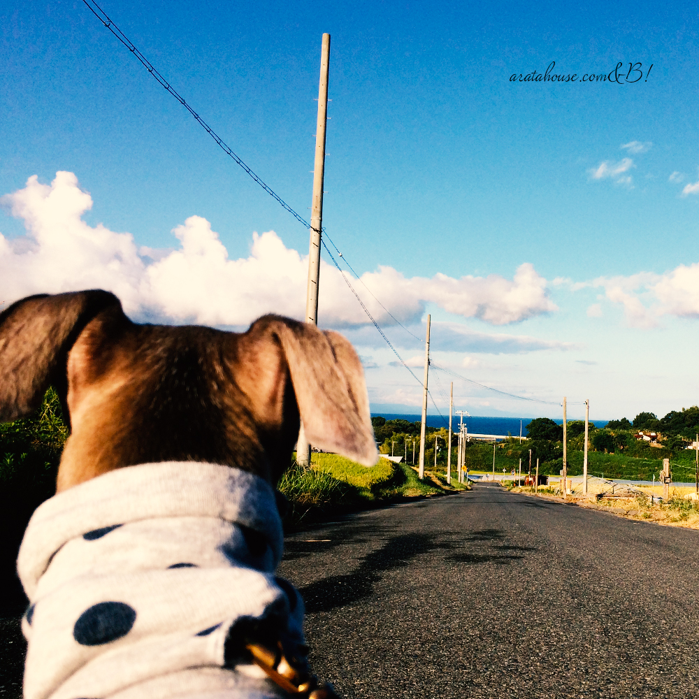 同じ景色を見て生きてますか。