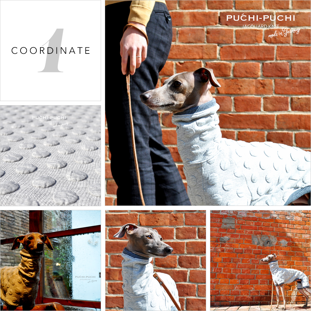「愛犬と過ごす上質な休日」とっておきの日にはとっておきのお洋服を。いつもとは違ったエレガンスな装いに心もはずむ。