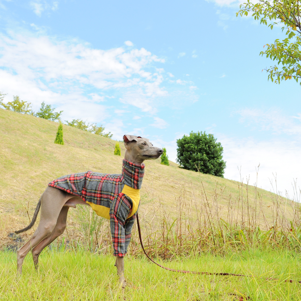 ARATA HOUSEな休日 2017.秋