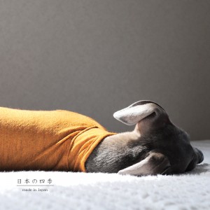 犬服|日本の四季|日本製ウール100%天竺ニット|選べる3タイプ×3カラー(菫色(すみれいろ)/琥珀色(こはくいろ)/茜色(あかねいろ))