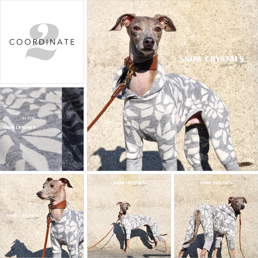 「愛犬と過ごす上質な休日」とっておきの日にはとっておきのお洋服を。いつもとは違ったエレガンスな装いに心もはずむ。