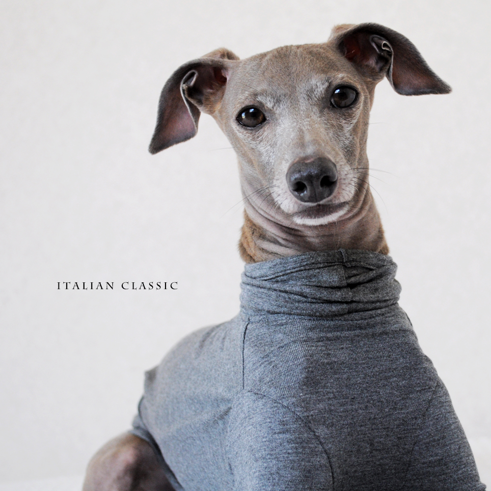 「2017.冬の新作 New color debut!」シンプルだからこそ、愛犬が輝く「犬服|Italian Classic|イタリア製ストレッチ天竺ニット」