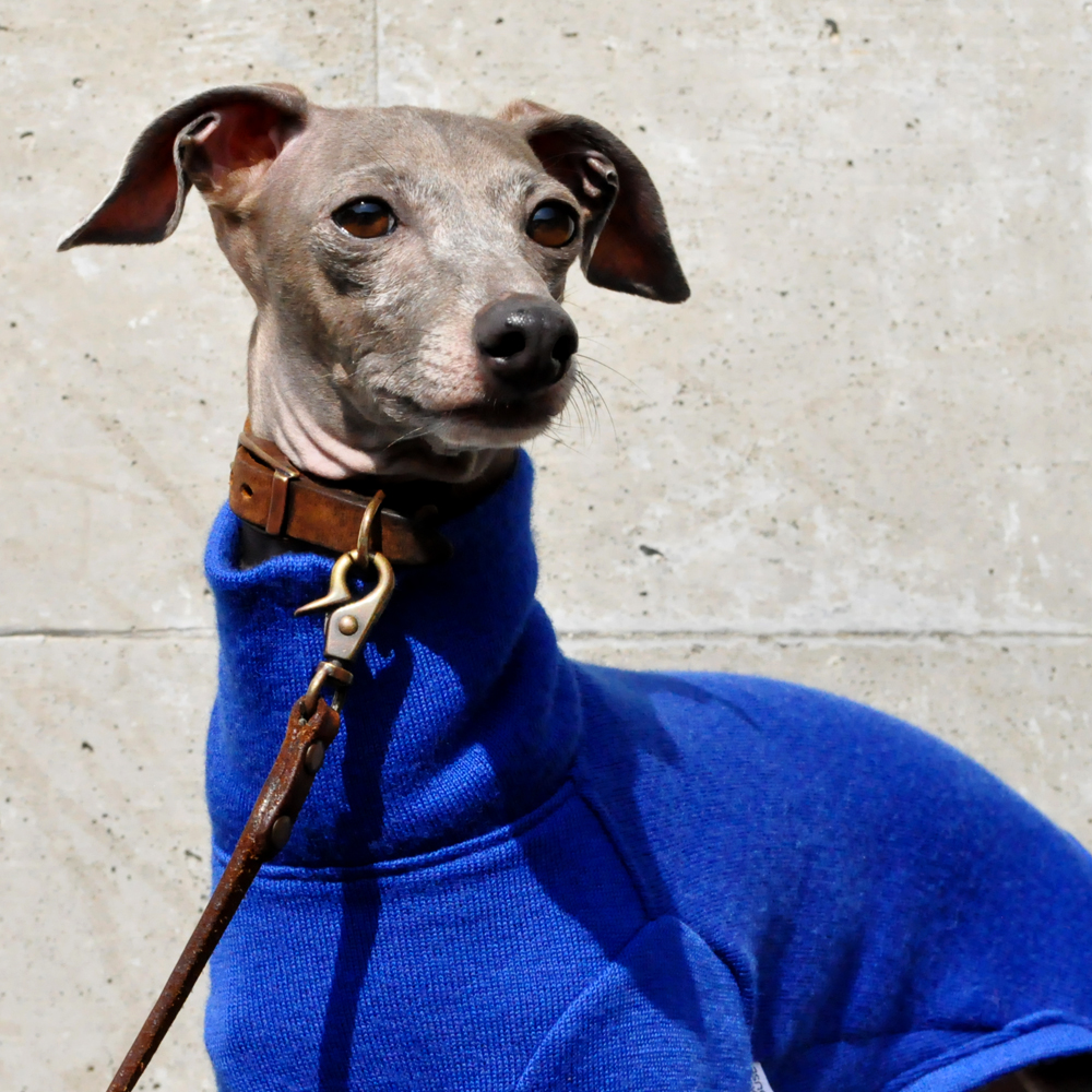 犬服｜私からの贈り物｜日本製メリノウールリバーニット｜選べる４タイプ×３カラー（グレイ/ブルー/パープル）