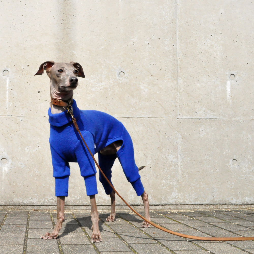 犬服｜私からの贈り物｜日本製メリノウールリバーニット｜選べる４タイプ×３カラー（グレイ/ブルー/パープル）