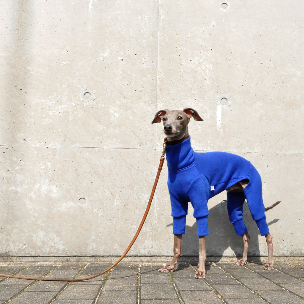 犬服｜私からの贈り物｜日本製メリノウールリバーニット｜選べる４タイプ×３カラー（グレイ/ブルー/パープル）