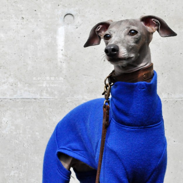 犬服｜私からの贈り物｜日本製メリノウールリバーニット｜選べる４タイプ×３カラー（グレイ/ブルー/パープル）