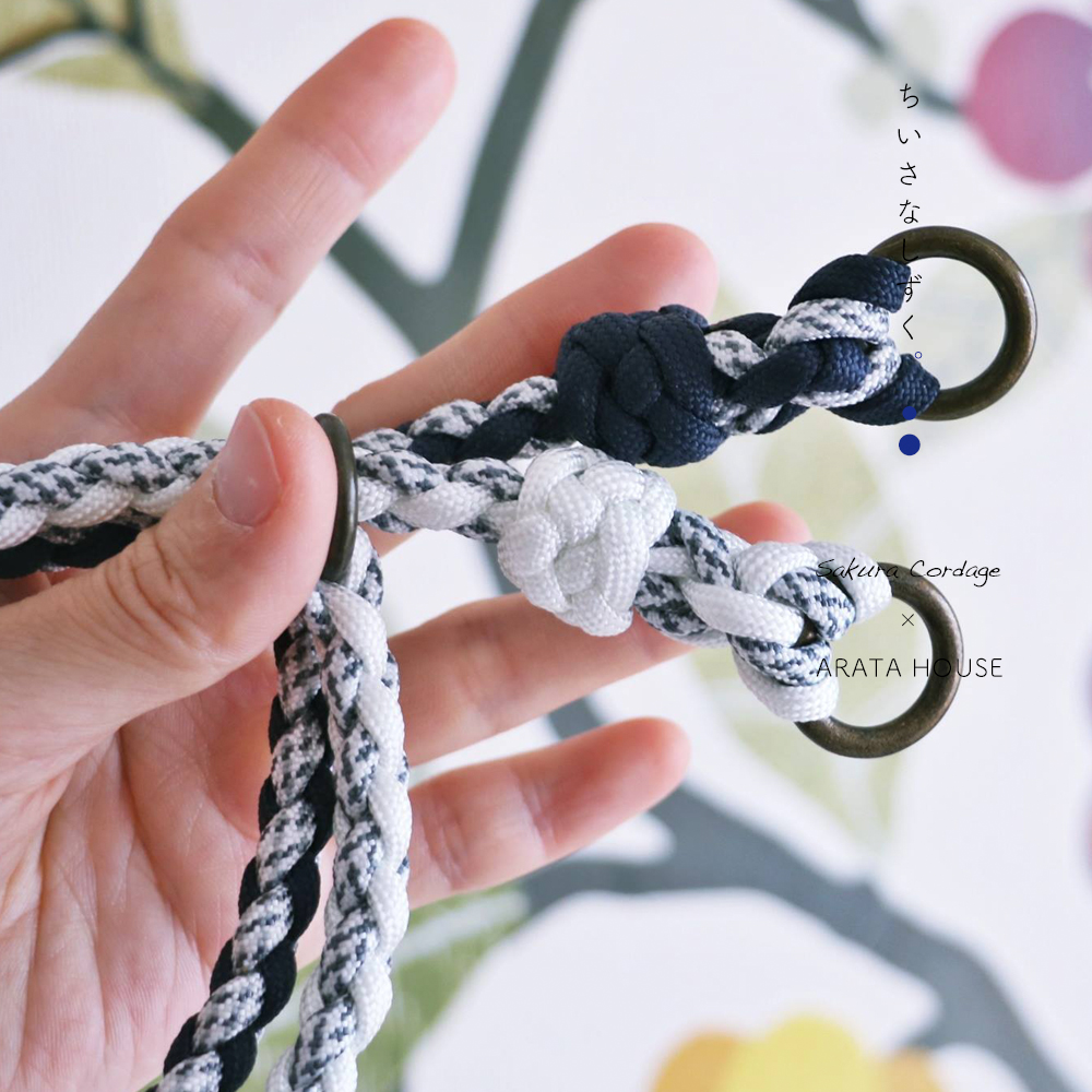 「迷子札と鑑札」と「散歩リード&首輪/ロングリード」のことをまとめました。|我家はコレを使ってます。イタグレBuono!の愛用品