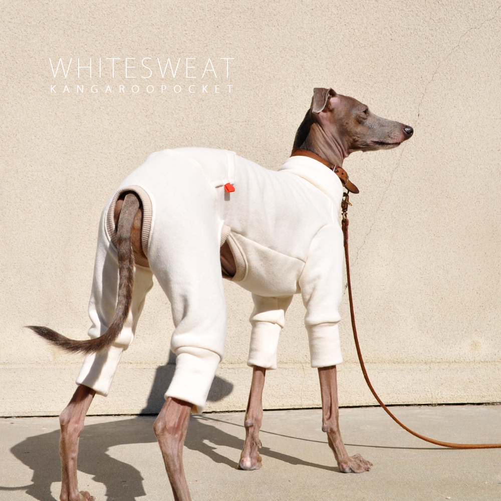犬服|白スウェット×カンガルーポケット|選べる4タイプ×選べる紐6カラー