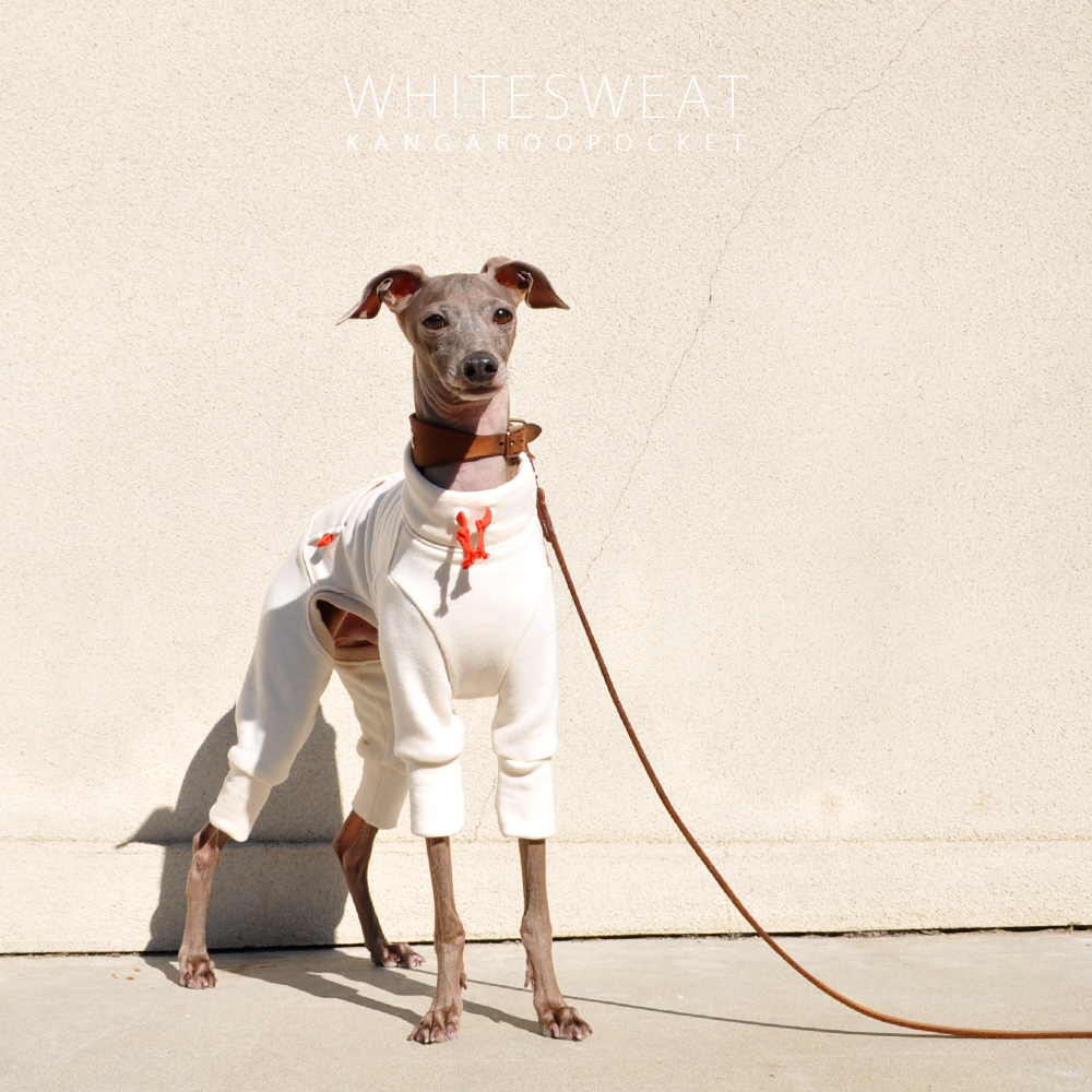 犬服|白スウェット×カンガルーポケット|選べる4タイプ×選べる紐6カラー