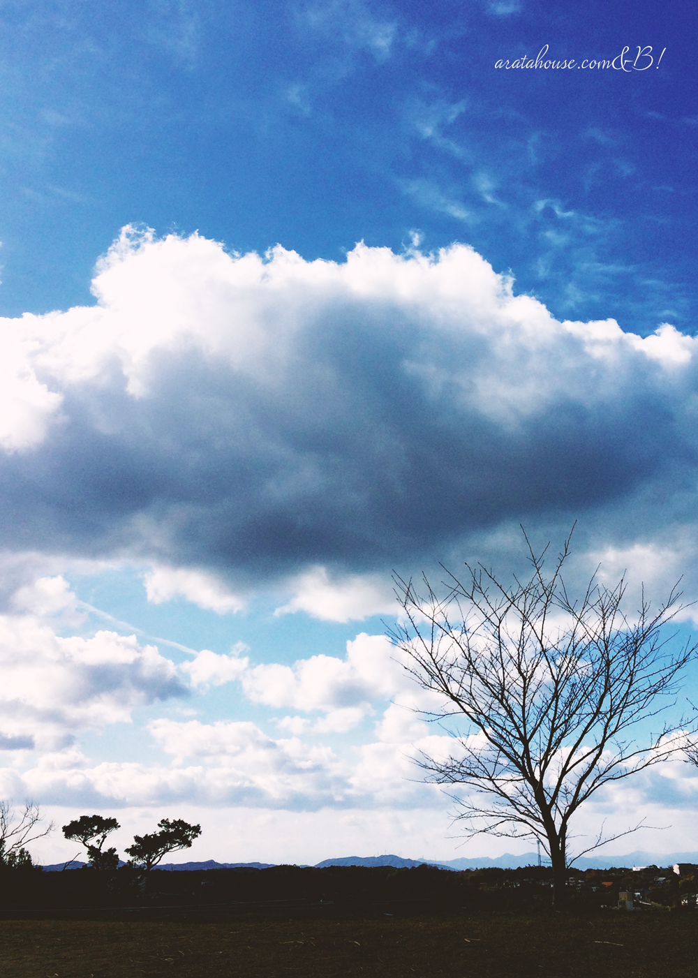 寒けど、走る。