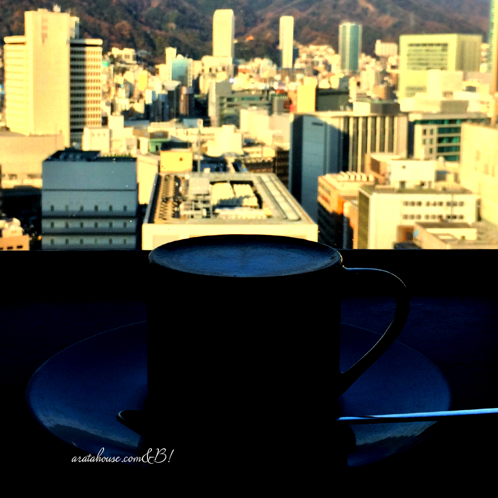 よっちゃんと遊ぶ日