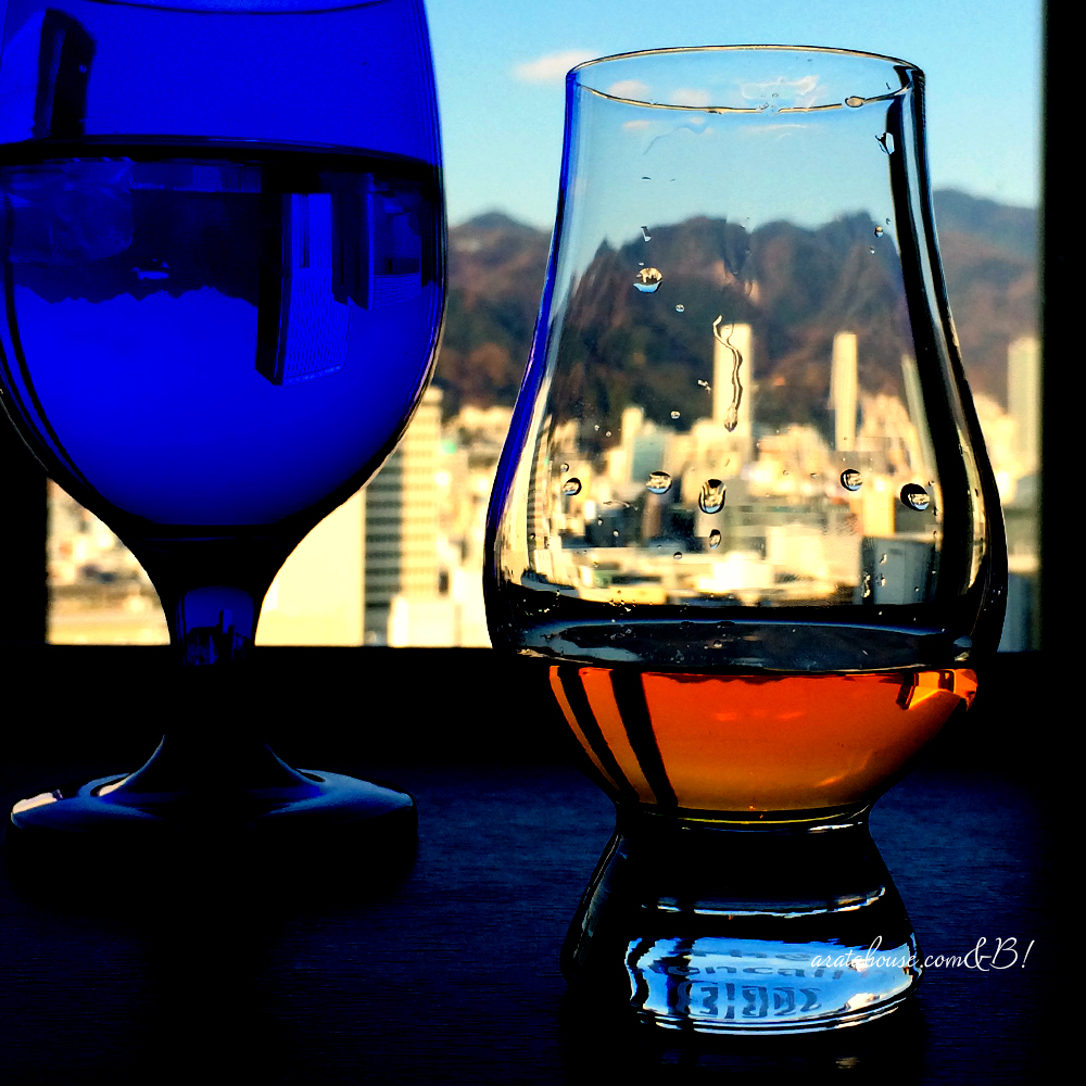 よっちゃんと遊ぶ日