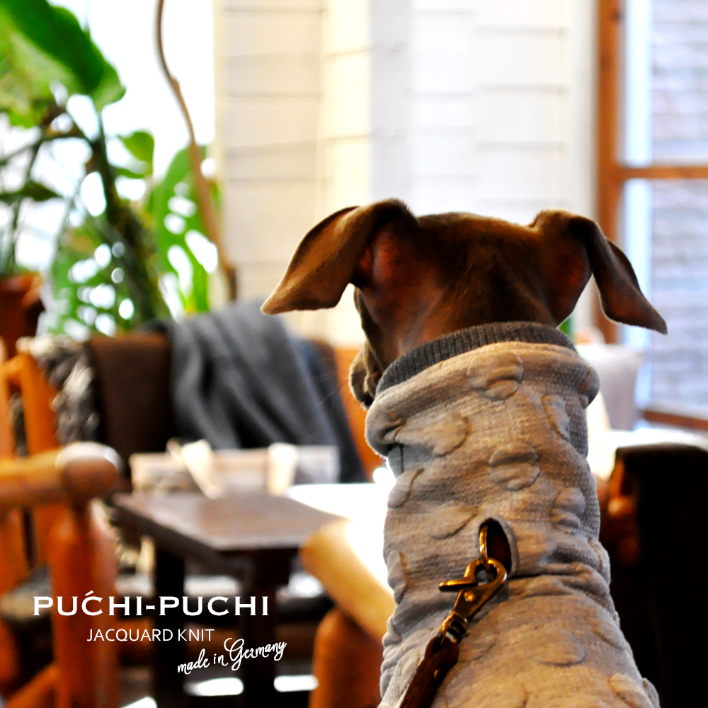 上質な個性｜PUCHI-PUCHI