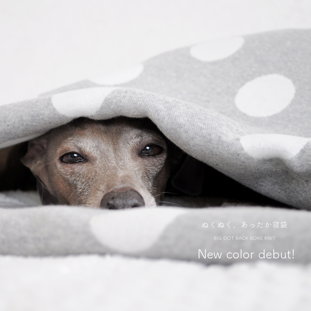 「新色追加しました」ぬくぬく、あったか寝袋「もこもこ素材で毛布のような暖かさ」|ドット裏ボアニット生地
