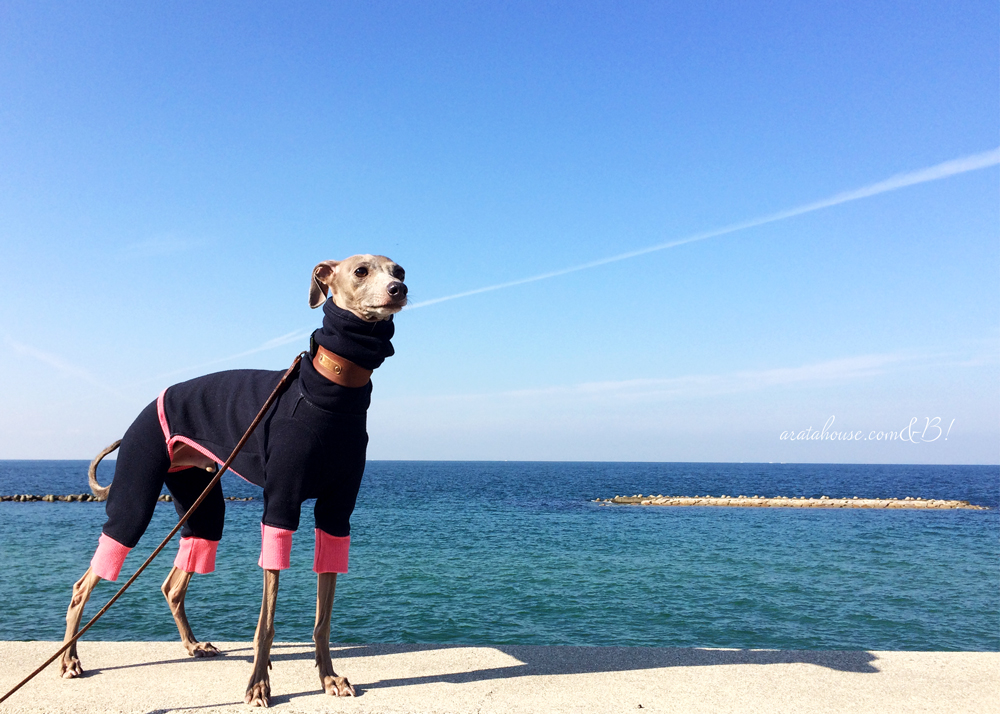 淡路島、秋の海。