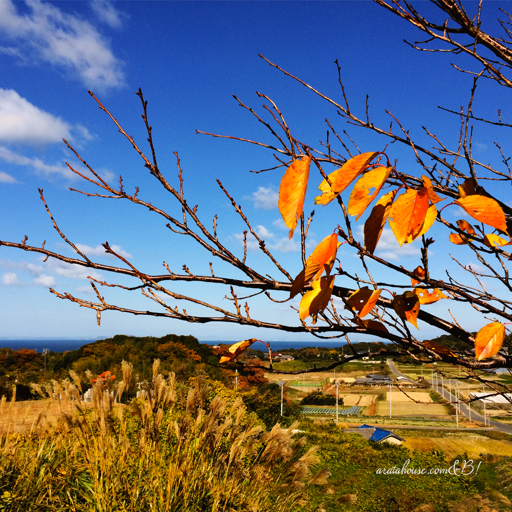 「新色追加しました」ぬくぬく、あったか寝袋「もこもこ素材で毛布のような暖かさ」|ドット裏ボアニット生地