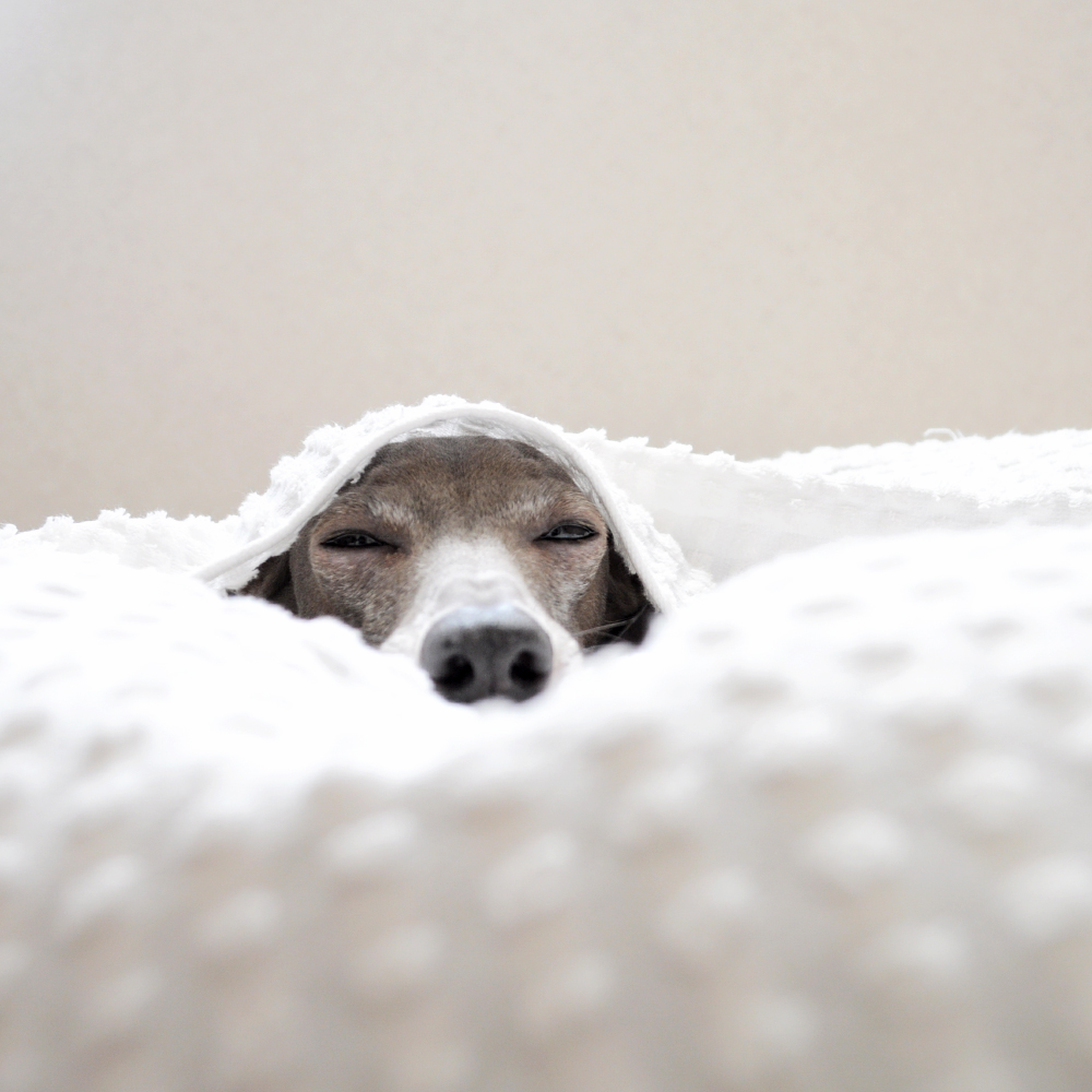 「私たちの年末年始」3年前を振り返り、5年後を夢見る。