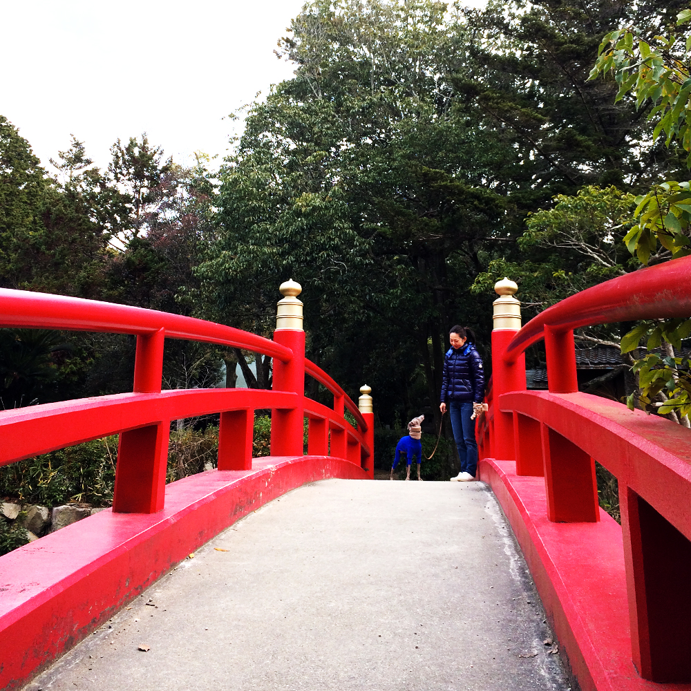 「私たちの年末年始」3年前を振り返り、5年後を夢見る。