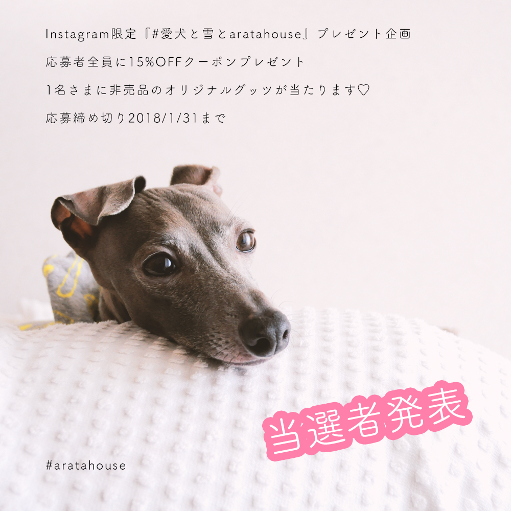「当選者発表」Instagram限定『愛犬と雪とaratahouse』プレゼント企画