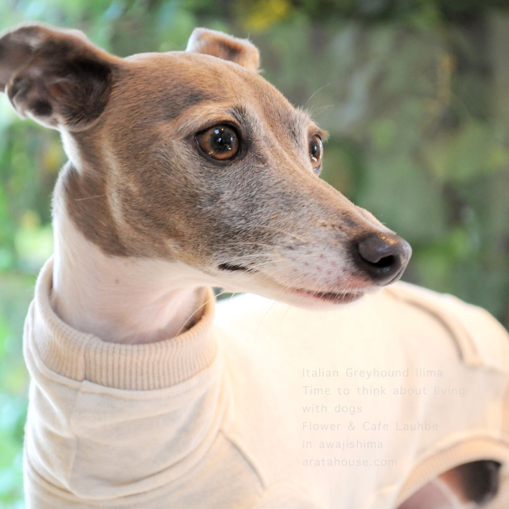 あれから1年8ヶ月の時が経ち。