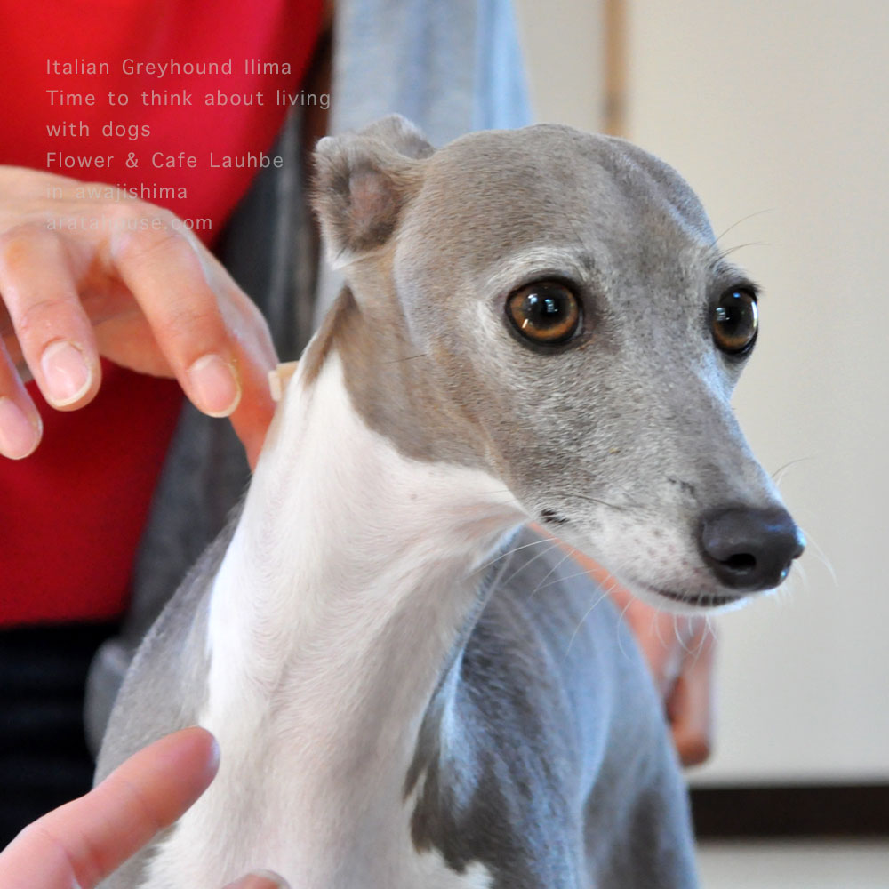 あれから1年8ヶ月の時が経ち。