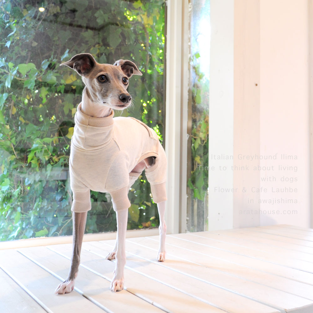 あれから1年8ヶ月の時が経ち。