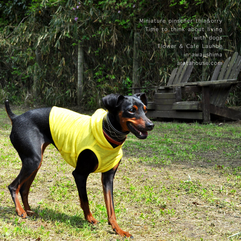 いっぱい、走ろう。