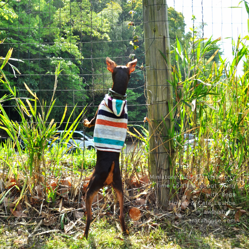 いっぱい、走ろう。