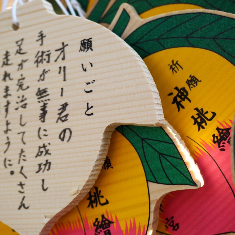 いっぱい、走ろう。