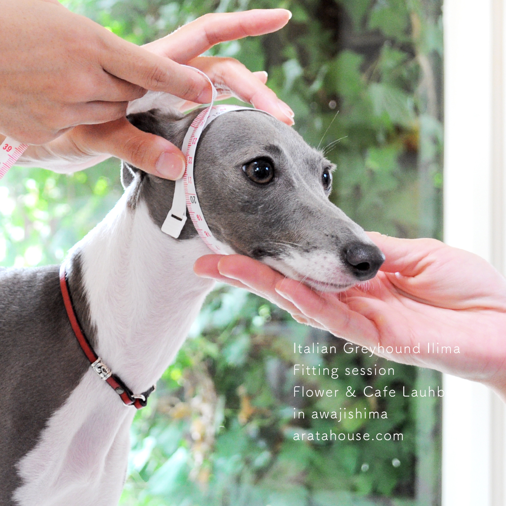 あれから1年8ヶ月の時が経ち。