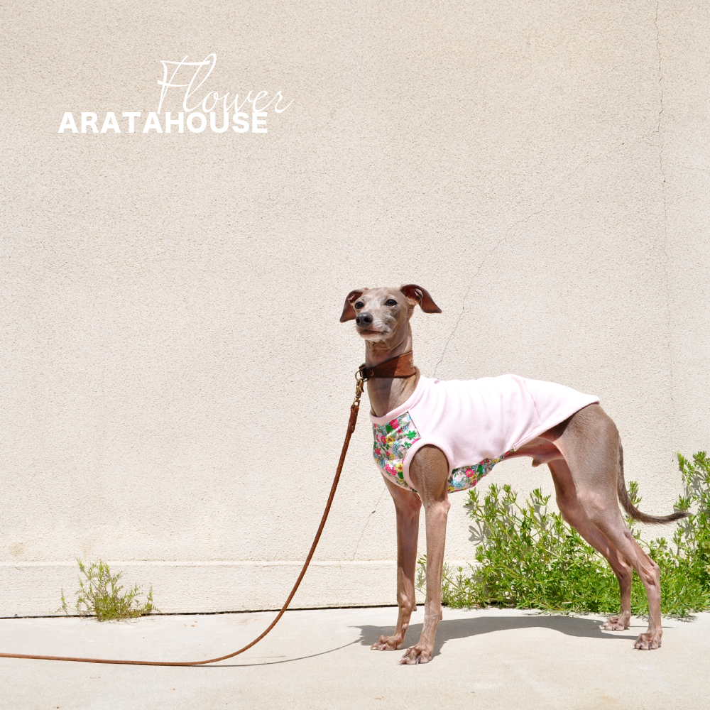 「新作犬服」お花｜お花が似合う季節です