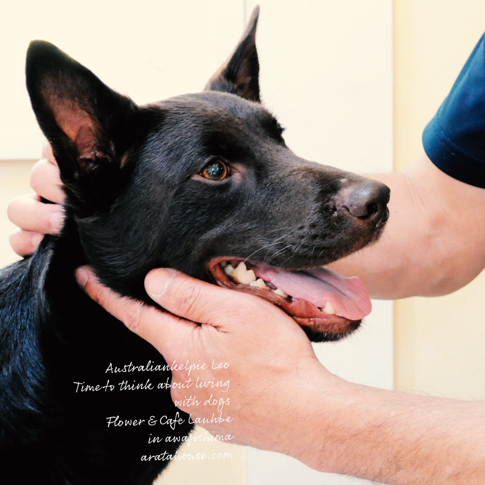 自然な時間の流れの中で