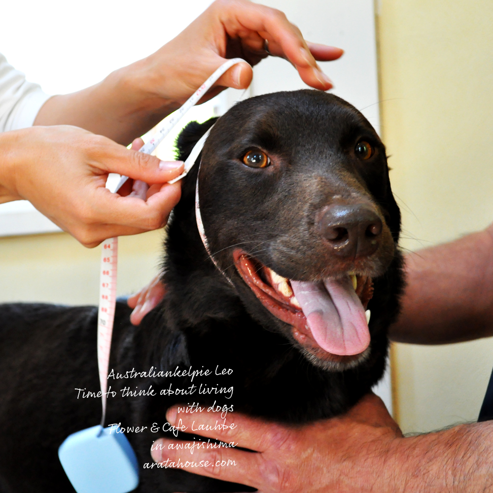 自然な時間の流れの中で