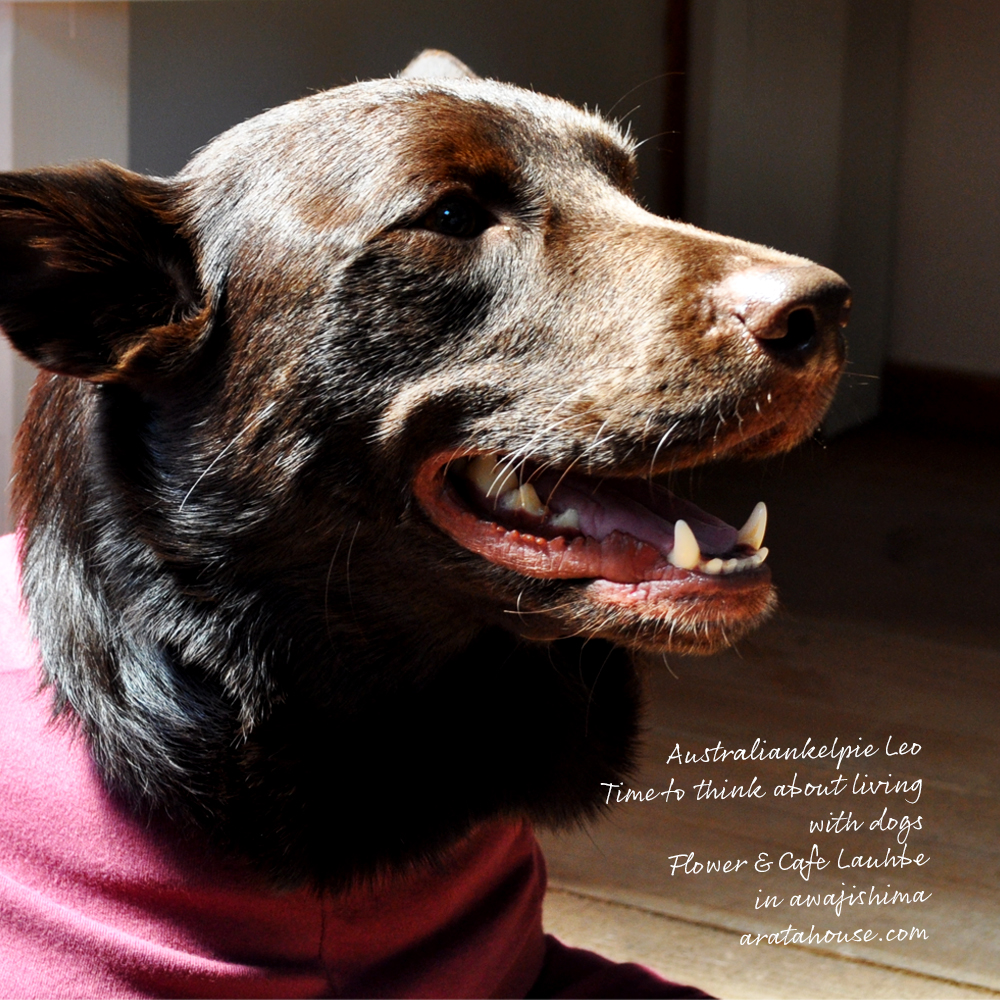 自然な時間の流れの中で