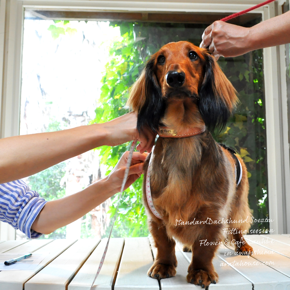 フィッティングセッションでしっかり採寸ができるとお洋服を製作する時も自信を持ってできる。