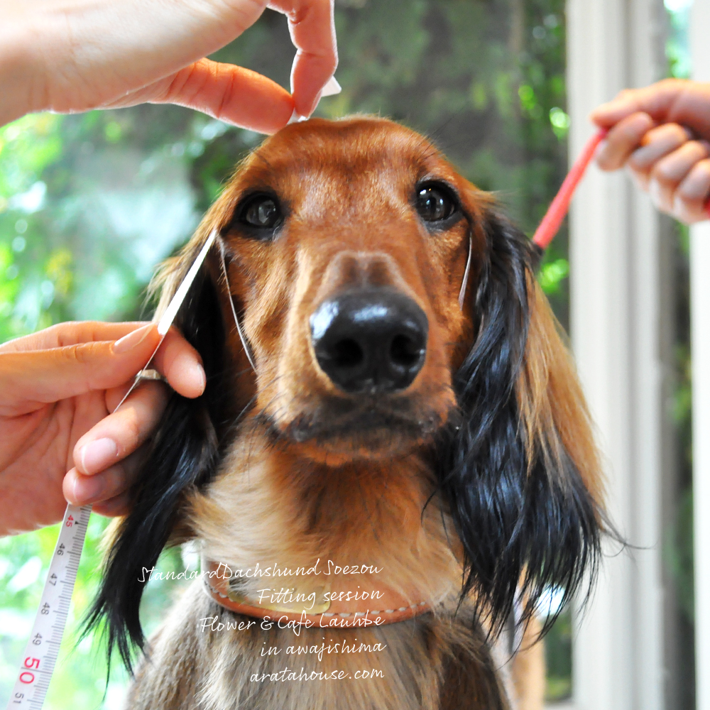 フィッティングセッションでしっかり採寸ができるとお洋服を製作する時も自信を持ってできる。