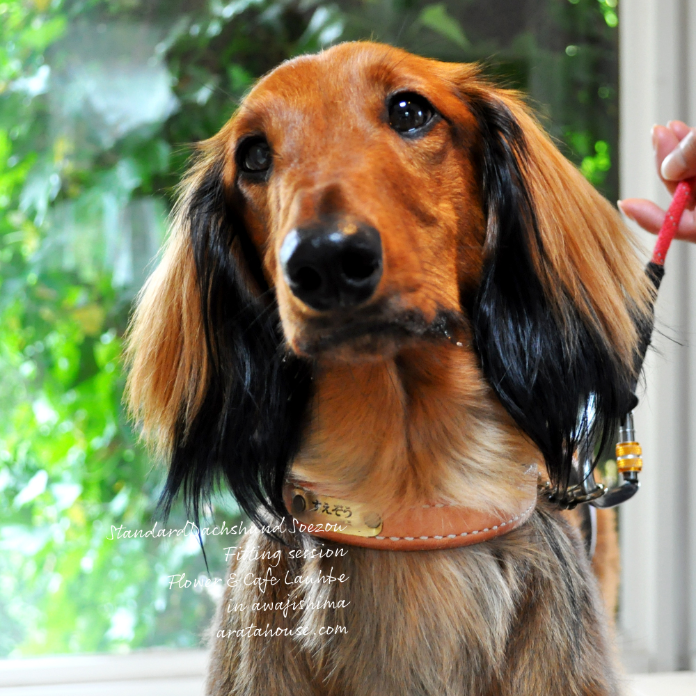 フィッティングセッションでしっかり採寸ができるとお洋服を製作する時も自信を持ってできる。