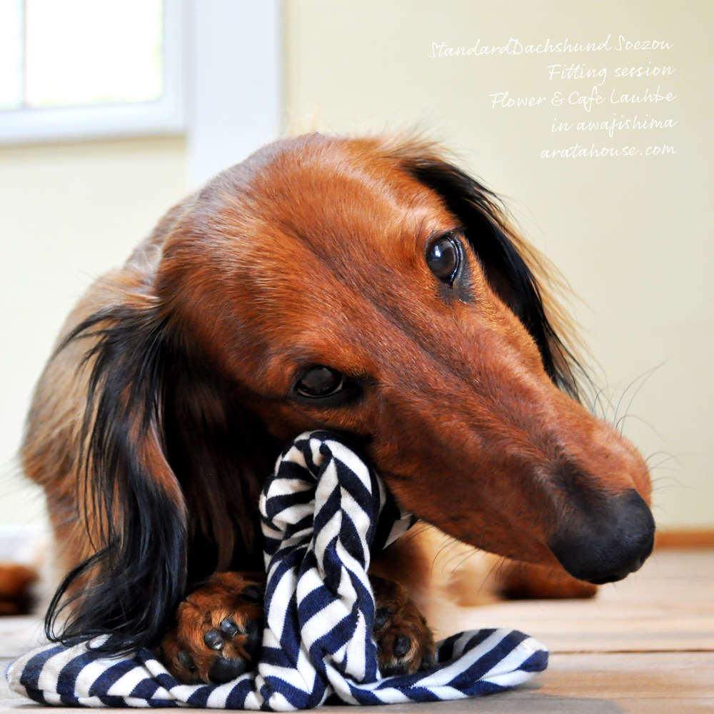 フィッティングセッションでしっかり採寸ができるとお洋服を製作する時も自信を持ってできる。