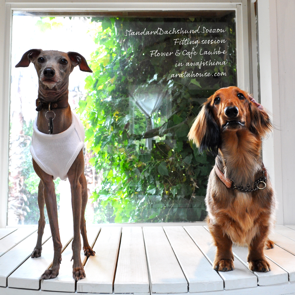 フィッティングセッションでしっかり採寸ができるとお洋服を製作する時も自信を持ってできる。