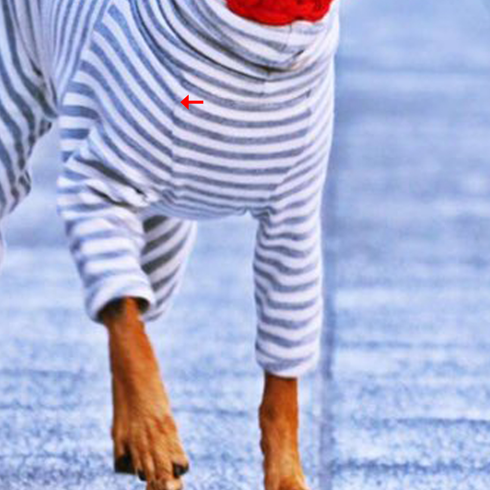 着心地良さを考えるとこの服にたどり着きます。何年か前に買った同じ服。破れたから同じものを購入。わんこの服は在庫が切れたら同じものが買えない事が多いけど。買えるのがありがたい……。