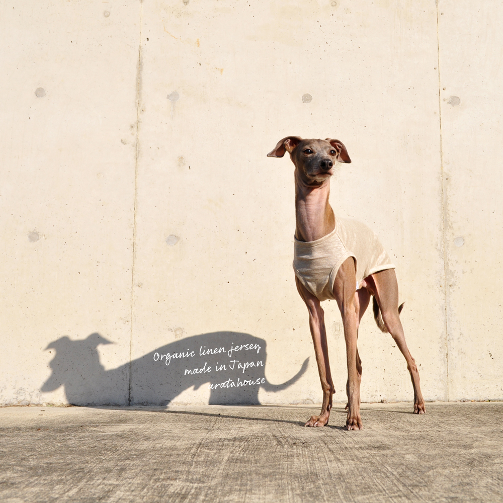 犬服|上質な日本製オーガニックリネンジャージ|選べる3タイプ