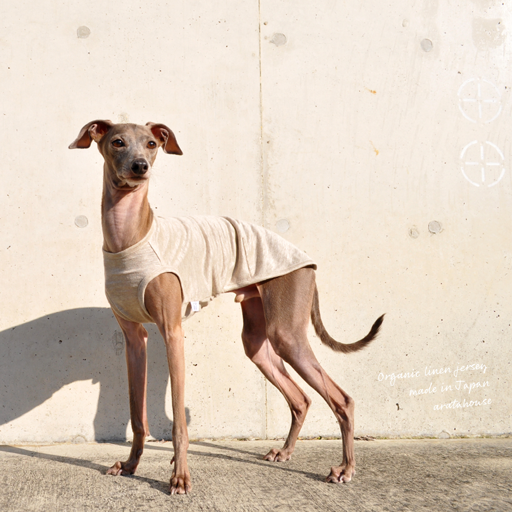 犬服|上質な日本製オーガニックリネンジャージ|選べる3タイプ