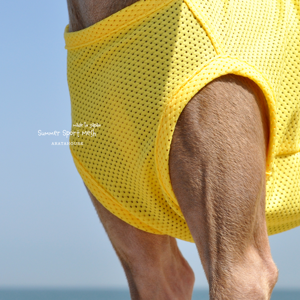 犬服|Summer Sport Mesh|通気性、伸縮性、速乾性に優れたメッシュ|選べる4タイプ×3カラー(パステルブルー/パステルイエロー/パステルピンク)